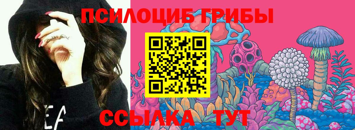 Псилоцибиновые грибы Magic Shrooms Батайск